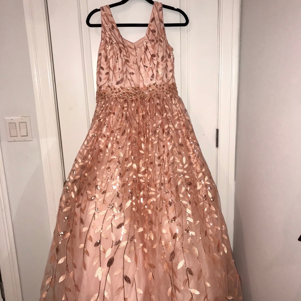 Jovani Gown with Beautiful Embroidery Work